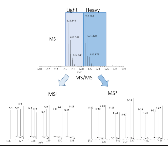 figure-results-2