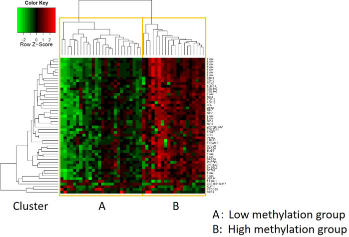 Hierarchical clustering heatmap; DNA methylation analysis; low (A) vs high (B) methylation groups.