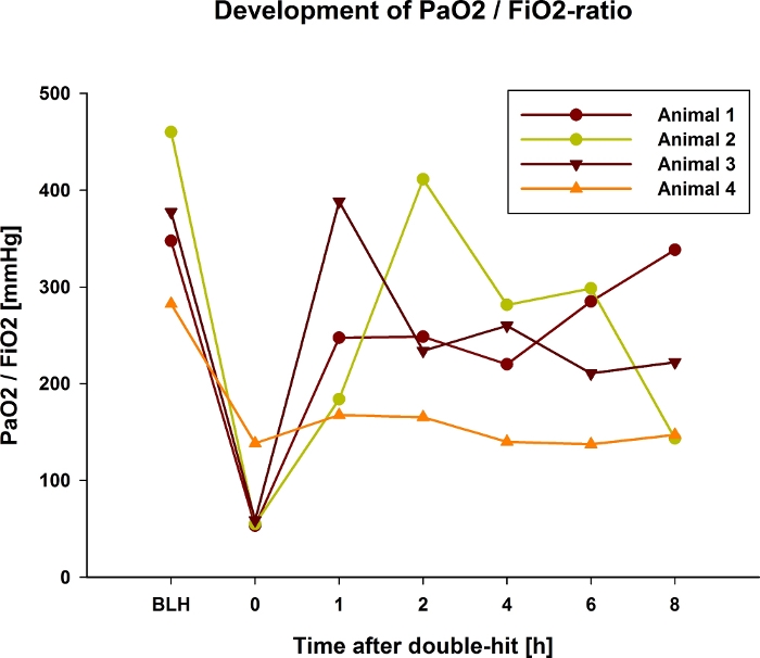 PaO2/FiO2 ratio development graph; double-hit study; animal subjects; time vs. ratio data analysis.