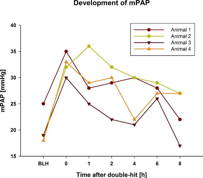 mPAP development graph; line chart comparing mPAP over time after double-hit in four animals.