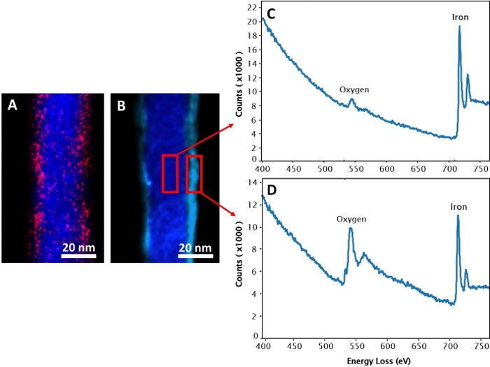 Nanotube elemental mapping and EELS spectra; diagram with oxygen and iron peaks analysis.