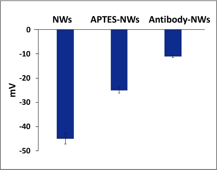 Bar chart showing zeta potential of NWs, APTES-NWs, Antibody-NWs in millivolts (mV).