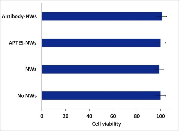 Chart of cell viability (%) in antibody, APTES, and untreated NWs for experimental comparison.