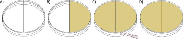 figure-results-2 figure-results-2