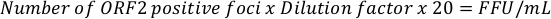 Calculating viral titer formula, FFU/mL, based on ORF2 positive foci.