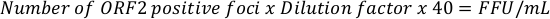 Quantitative analysis equation for viral infectivity; ORF2 positive foci calculation formula.