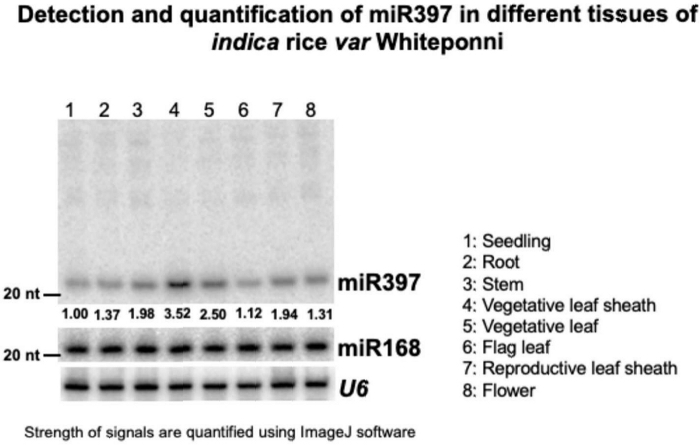 figure-results-1