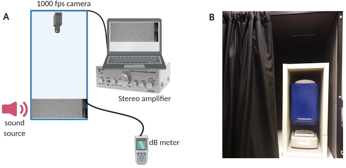 figure-results-1 Acoustic experiment with sound source, 1000 fps camera, stereo amplifier, dB meter, vibration analysis.