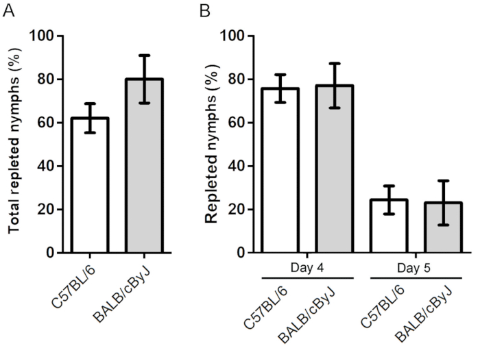 Bar graph comparing repleted nymph percentages in C57BL/6 and BALB/cByJ mice across days 4 and 5.