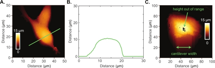 figure-results-2
