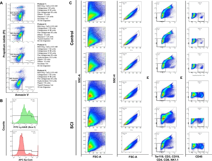 figure-results-4 Flow cytometry analysis; scatter plots; diagram; apoptosis assay; FITC Ann V/PI staining; SCI/Control.