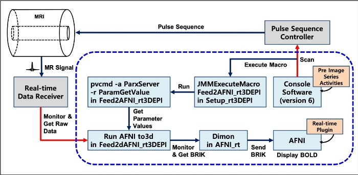Real-Time fMRI Brain Mapping in Animals