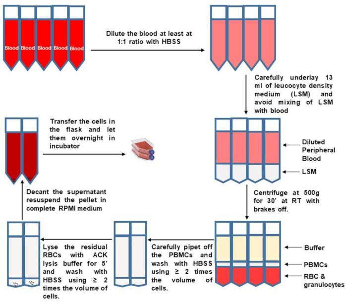 figure-results-1