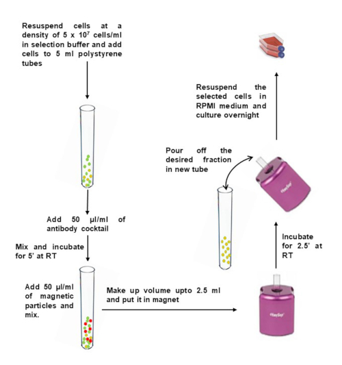 figure-results-2