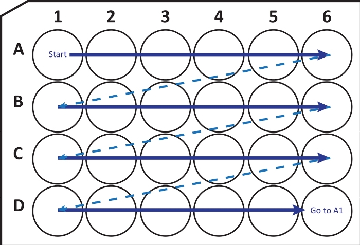 Circular permutation diagram showing path through a 6x4 array.