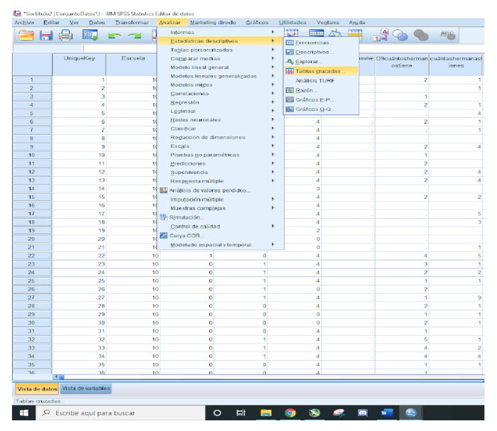 SPSS data analysis menu, showing statistical options and data table for research analysis.