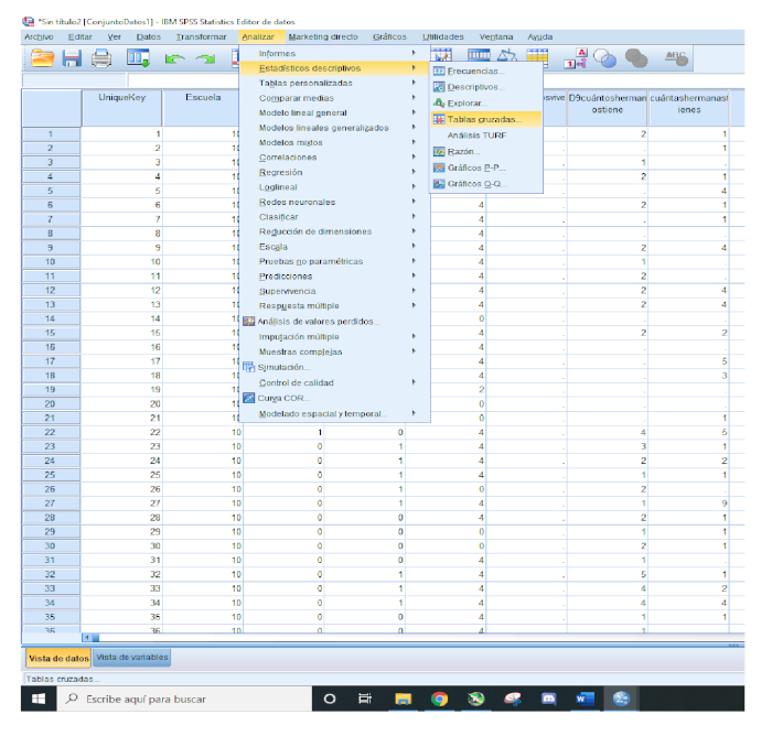 Statistical analysis in SPSS showing data table with "Analyze" menu open for descriptive stats.