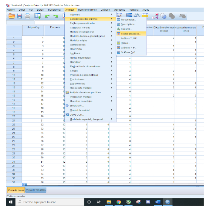 Statistical data analysis in SPSS; software interface, data table, analyze menu, cross-tabulation.