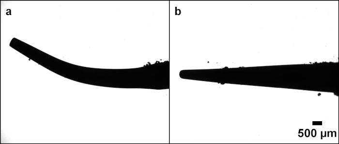 figure-results-2