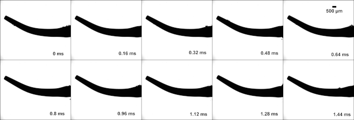 figure-results-4