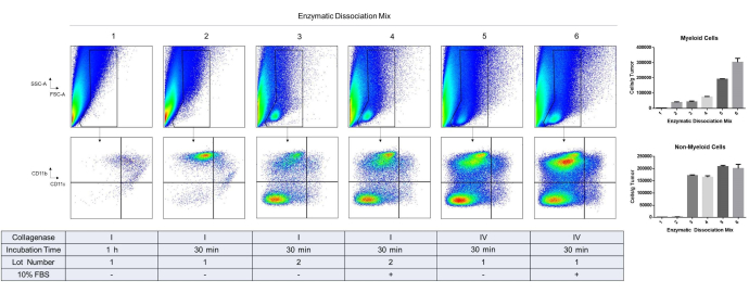 figure-results-1 Flow cytometry dot plots and bar charts; enzyme dissociation effects on cell viability and differentiation.