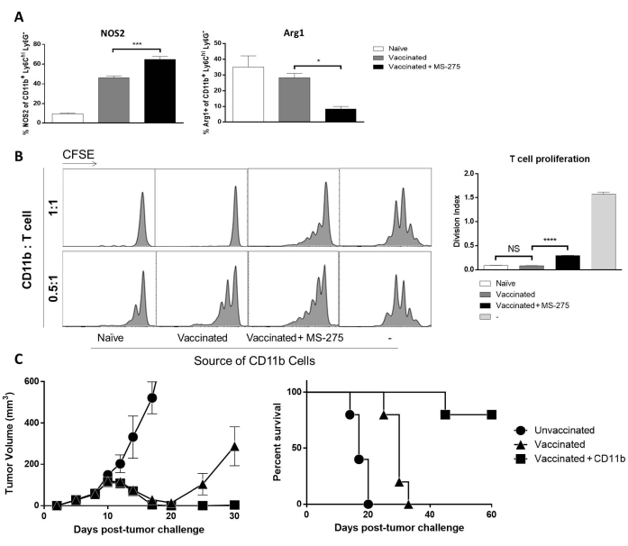 figure-results-3 Cellular analysis with graphs on NOS2, Arg1 expression; T cell proliferation; tumor volume and survival.