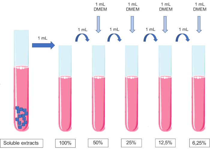 Serial dilution diagram; test tubes, soluble extracts, decreasing concentrations of DMEM.