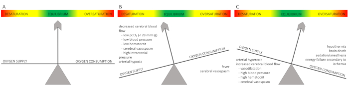 figure-results-1 Oxygen supply and consumption balance diagrams; saturation equilibrium concepts in medical physiology.