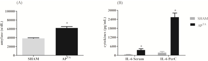 Bar charts comparing amylase and cytokine levels in SHAM vs. AP\(^\mathrm{TA}\); statistical analysis.