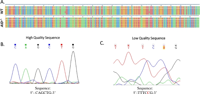 figure-results-4 Confronto del sequenziamento del DNA; Grafici cromatografici che mostrano l'analisi di sequenze di alta e bassa qualità.