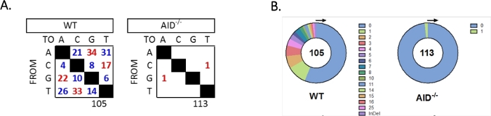 figure-results-5 Diagramma e grafico di analisi delle mutazioni; varianza di sequenza in campioni carenti di WT e AID.
