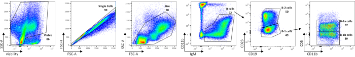 figure-results-1 Flow cytometry scatter plots; cell viability, size, and type analysis in immunology research.