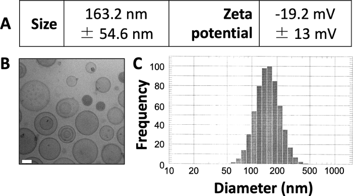 figure-results-1 Nanoparticle characterization: TEM image, size/zeta potential data, diameter histogram chart.