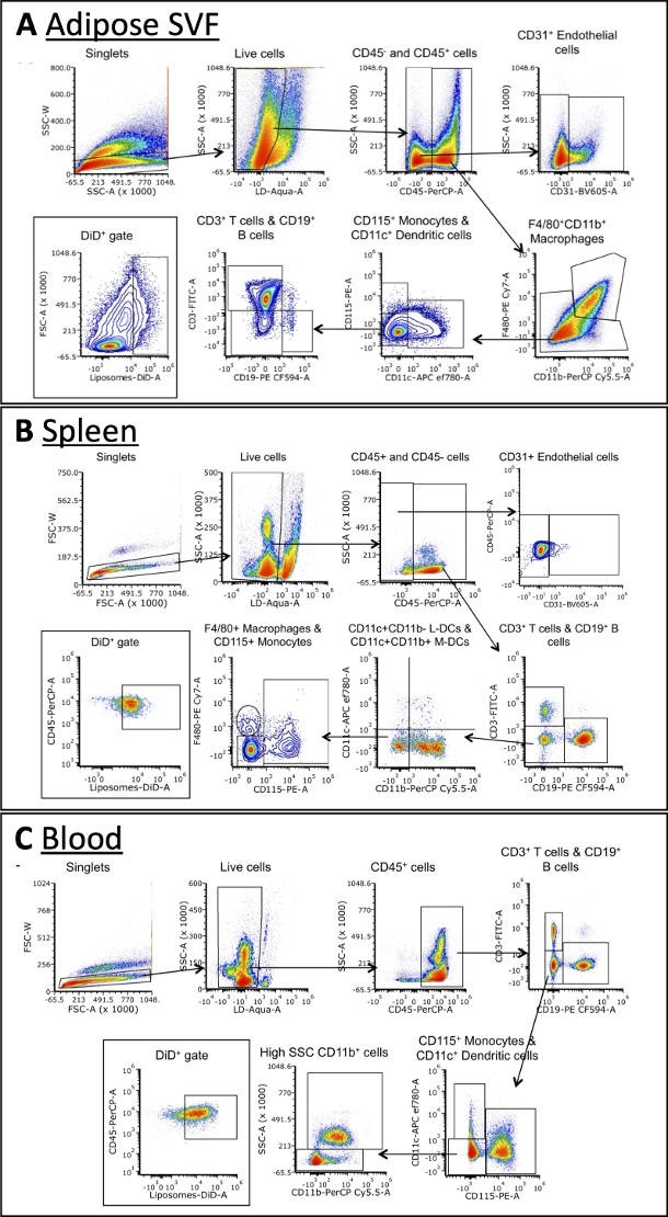figure-results-4 Flow cytometry analysis; diagrams of adipose SVF, spleen, blood cells showing CD markers distribution.