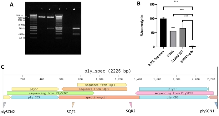figure-results-2 figure-results-2