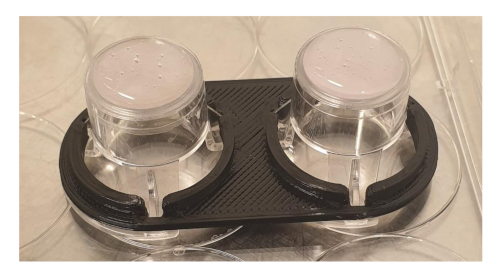 figure-results-2 Cell culture setup; dual-chamber system for cellular growth and analysis experiment.