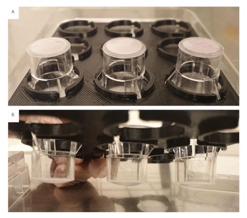 figure-results-3 Static equilibrium setup with samples in a multi-well plate; experimental stability test.