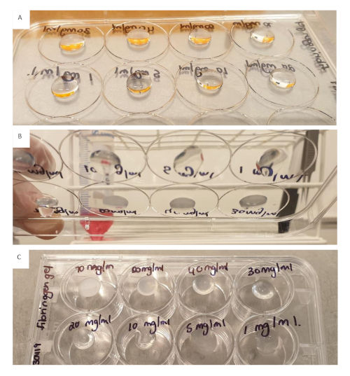 figure-results-4 Multiwell plate with varying concentrations for spectroscopic analysis; setup for chemical assay.