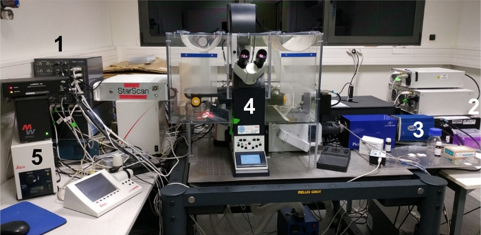 Spectroscopy setup with microscope, lasers, and analyzers for optical excitation and emission study.