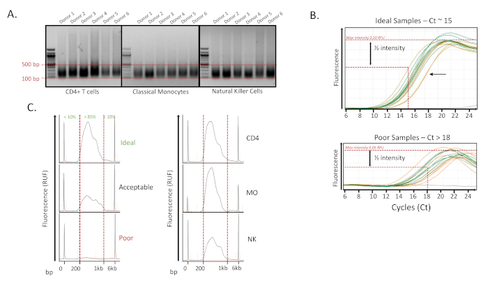 Electrophoresis, fluorescence chart, DNA analysis; CD4 cells, monocytes, NK cell comparison diagram.