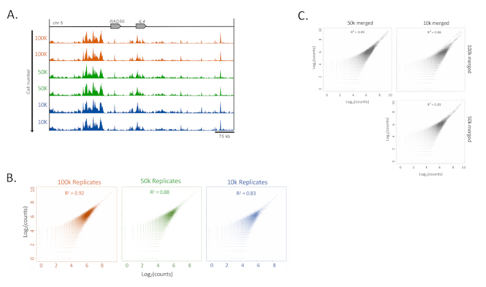 Gene analysis, signal quantification; A: Alignment chart, B: Replicate graphs, C: Merged data plots.