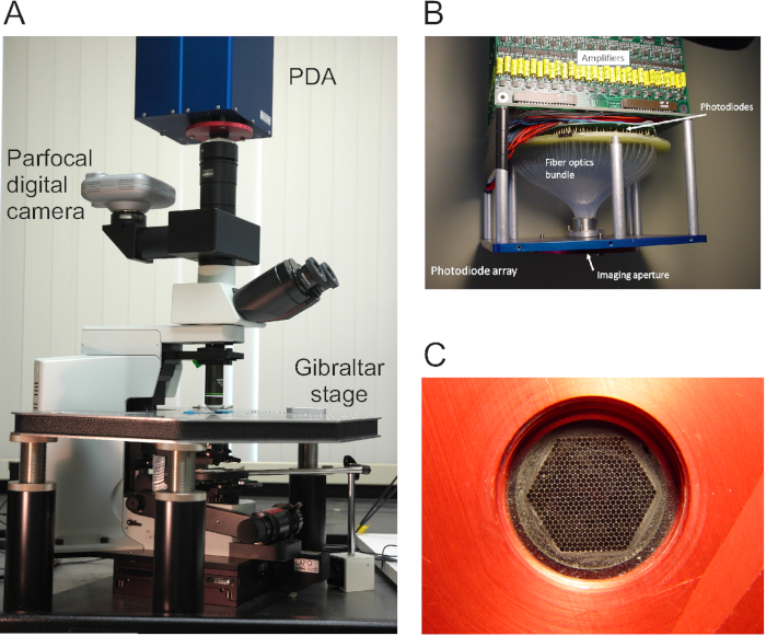 figure-results-1 Microscopy setup with par focal camera; photodiode array; imaging aperture for spectroscopy studies.