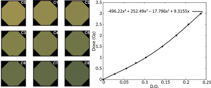 Radiation dose-response graph; polynomial fitting; colorimetric analysis; chromatography results.
