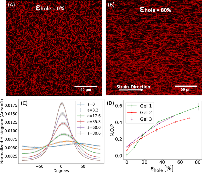 Electrospun nanofiber deformation at different strains; microscopy images and analysis graphs.