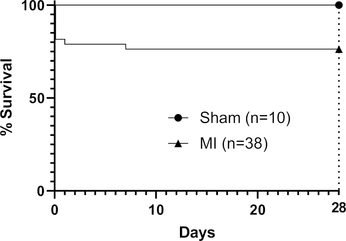 figure-results-2