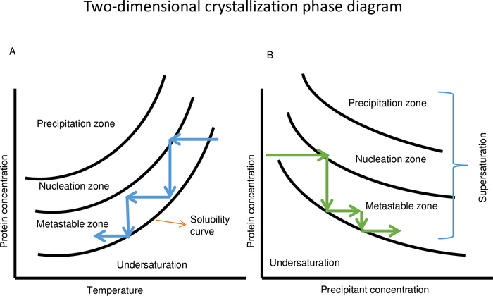 figure-results-3 Two-dimensional crystallization phase diagram; temperature vs. precipitant concentration zones.