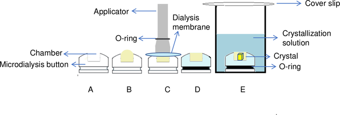 figure-results-5 Microdialysis setup diagram; crystallization process shown with chamber, membrane, and solution.