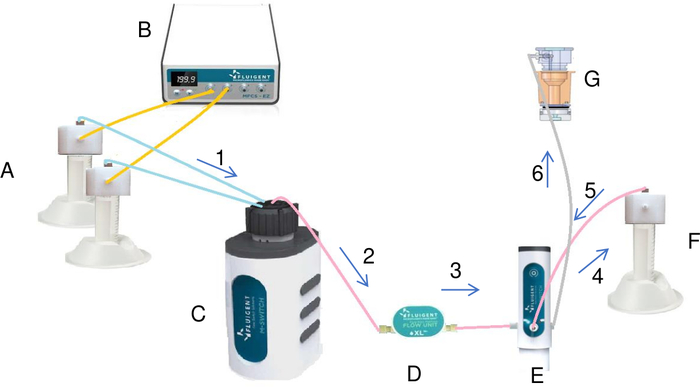 figure-results-7 Chromatography system diagram; setup for DNA separation via column and flow unit; labeled steps.