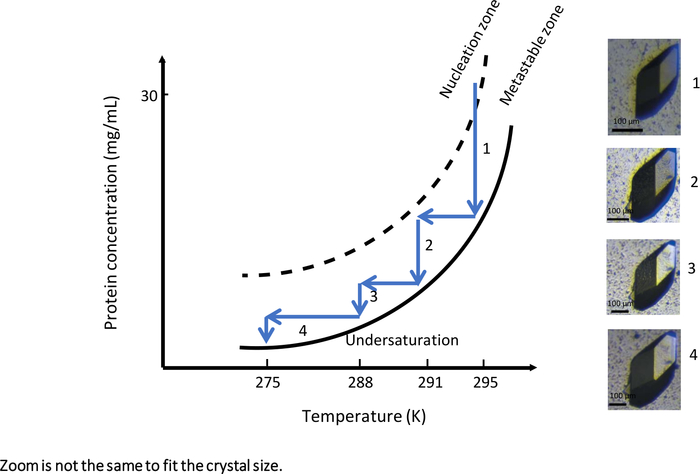 figure-results-9 Protein crystallization diagram with temperature, concentration; nucleation, metastable zones; crystal images.
