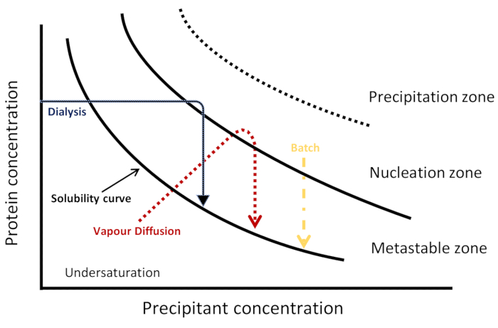 figure-results-1 Protein crystallization phase diagram; solubility curve, dialysis, vapor diffusion, batch methods.